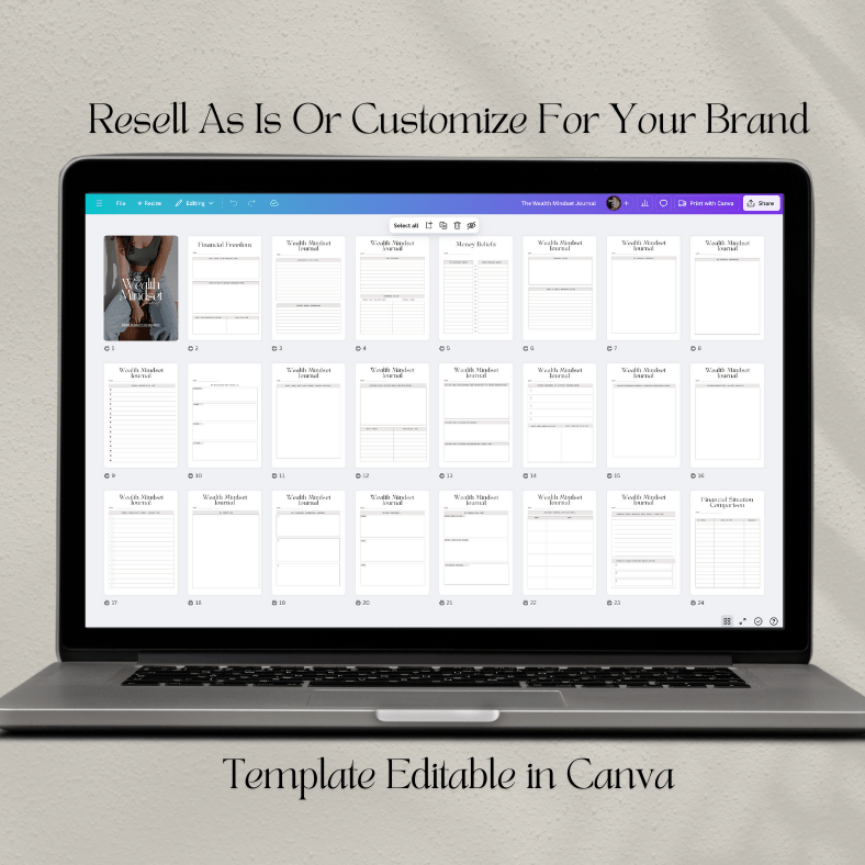 The Wealth Mindset Journal | PLR/MRR