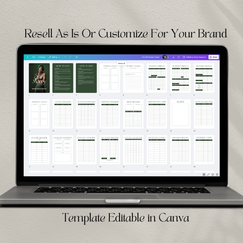 The CEO Money Tracker | Business Finance Made Easy | PLR/MRR