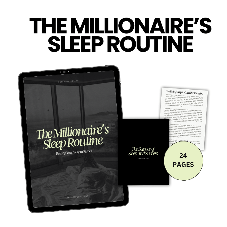 The Millionaire Vault Bundle | Wealth & Success Mindset That Millionaires Live By