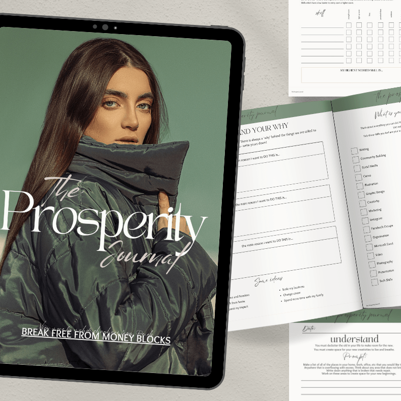 The Prosperity Journal | Break Free From Money Blocks | PLR/MRR