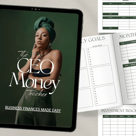 The CEO Money Tracker | Business Finance Made Easy | PLR/MRR