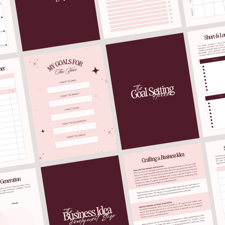 The Start Up Business Planner & Workbook | MRR/PLR Plus FREE GIFTS