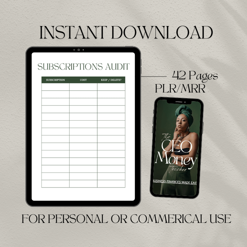 The CEO Money Tracker | Business Finance Made Easy | PLR/MRR