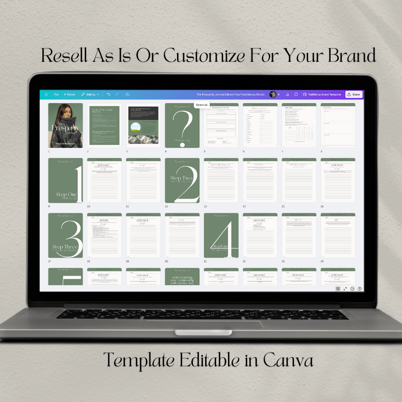 The Prosperity Journal | Break Free From Money Blocks | PLR/MRR